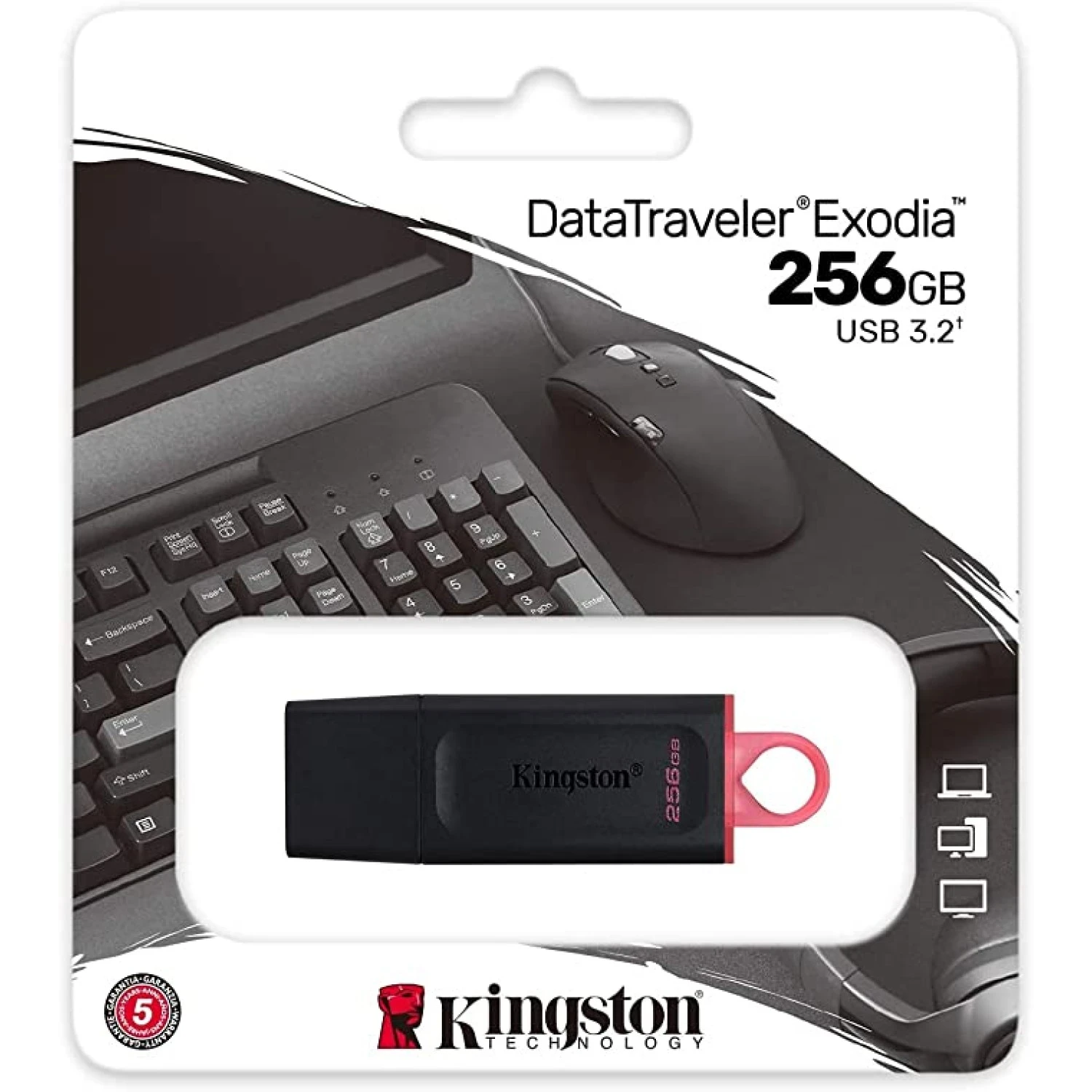 Kingston 256GB USB Flash Drive