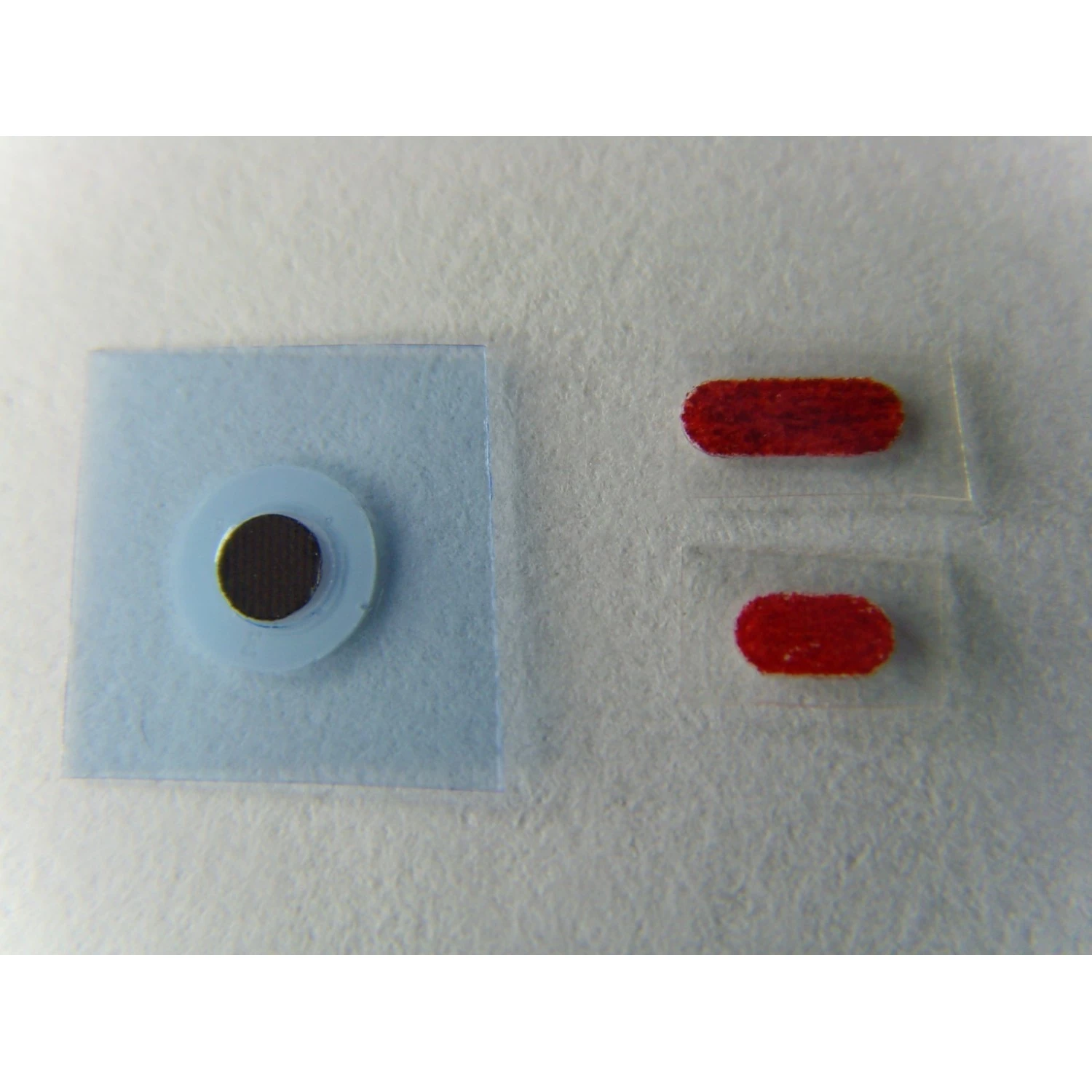 Water indicator sticker for iphone 5